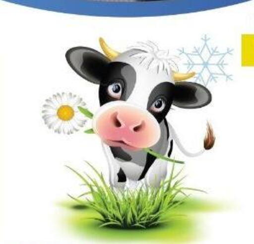 available at بشاير هايبرماركت in Egypt - القاهرة