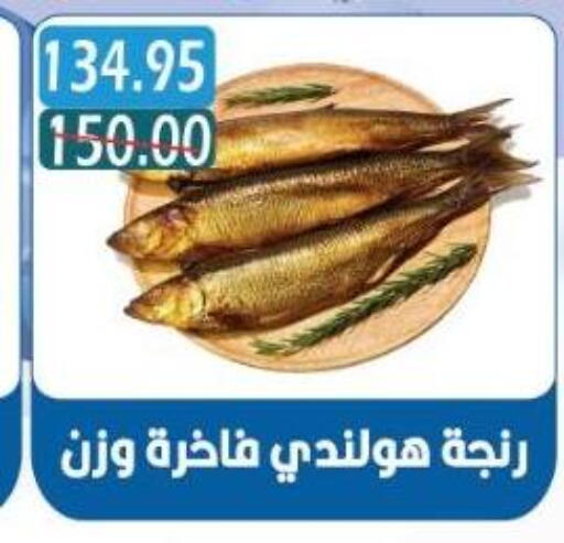 available at بشاير هايبرماركت in Egypt - القاهرة