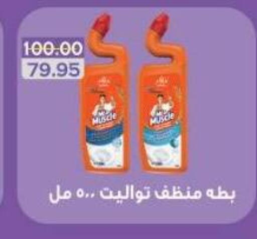 منظف عام available at بشاير هايبرماركت in Egypt - القاهرة