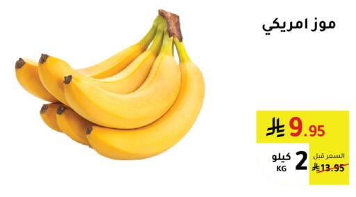 موز available at الهاجري الأغذية in مملكة العربية السعودية, السعودية, سعودية - خميس مشيط