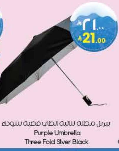 available at City Flower in KSA, Saudi Arabia, Saudi - Al-Kharj