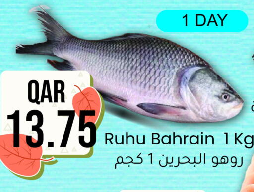 available at Rambo Mart in Qatar - Al-Shahaniya