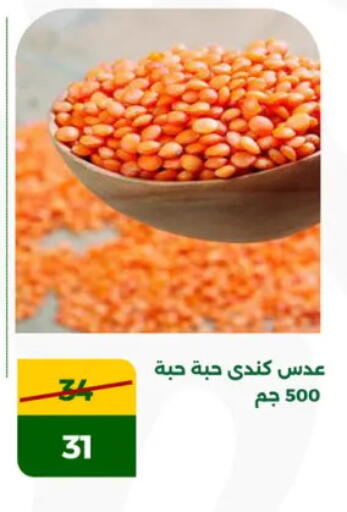 available at جرين تري هايبرماركت - سوهاج in Egypt - القاهرة