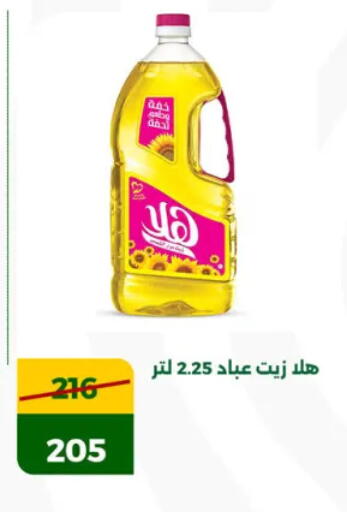 available at Green Tree Hypermarket - Sohag in Egypt - Cairo