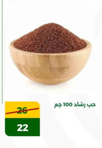 Cereals available at Green Tree Hypermarket - Sohag in Egypt - Cairo