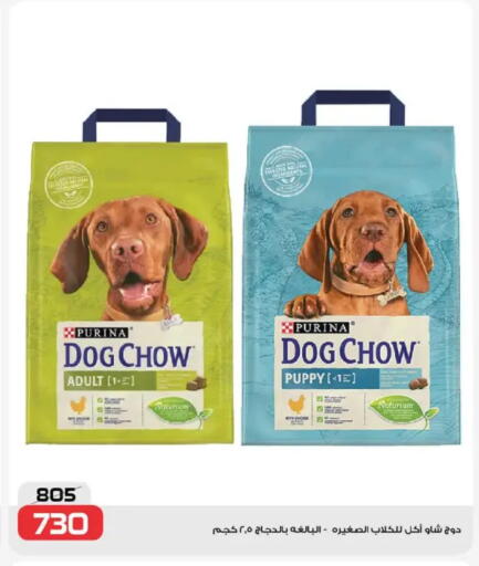 available at  Zahran Market in Egypt - Cairo