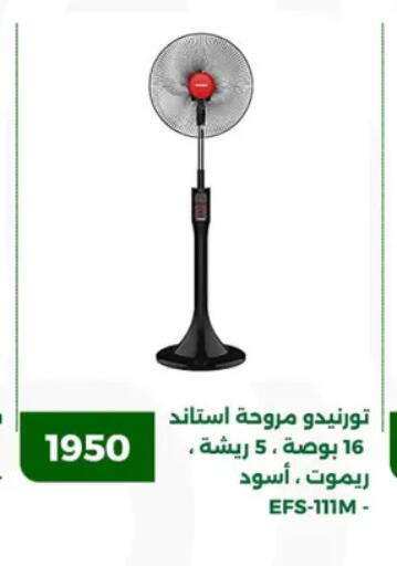 تورنادو  مروحة available at جرين تري هايبرماركت - سوهاج in Egypt - القاهرة