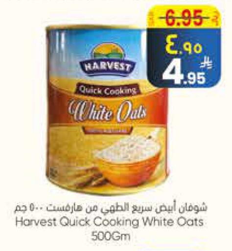 الشوفان available at ستي فلاور in مملكة العربية السعودية, السعودية, سعودية - سكاكا