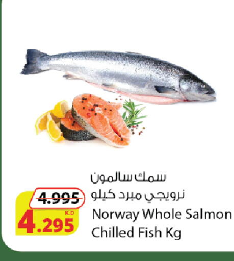 available at Agricultural Food Products Co. in Kuwait - Ahmadi Governorate