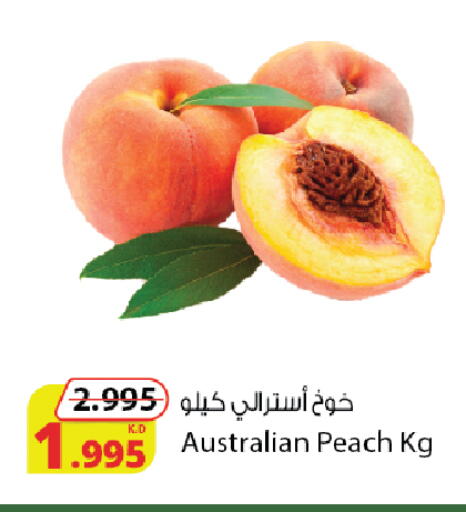 برقوق from Australia available at شركة المنتجات الزراعية الغذائية in الكويت - محافظة الجهراء