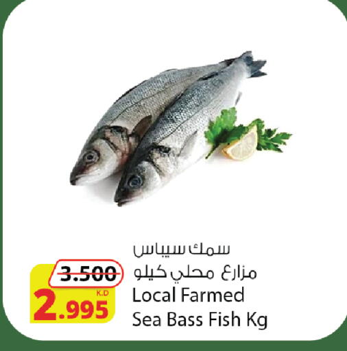 available at شركة المنتجات الزراعية الغذائية in الكويت - محافظة الأحمدي