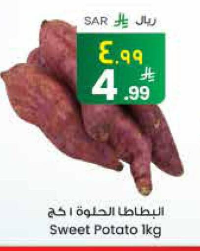 بطاطا حلوة available at ستي فلاور in مملكة العربية السعودية, السعودية, سعودية - الجبيل‎