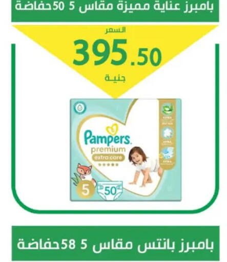 بامبرز available at سوق العمدة in Egypt - القاهرة