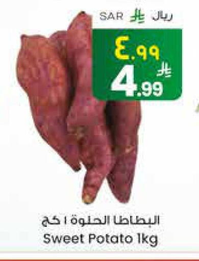 Sweet Potato available at City Flower in KSA, Saudi Arabia, Saudi - Sakaka