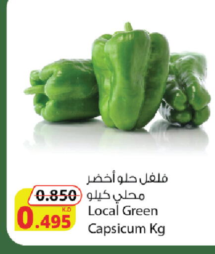 Chilli / Capsicum available at Agricultural Food Products Co. in Kuwait - Ahmadi Governorate