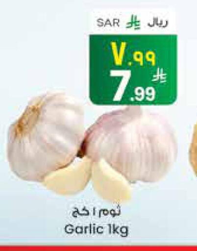 ثوم available at ستي فلاور in مملكة العربية السعودية, السعودية, سعودية - الجبيل‎