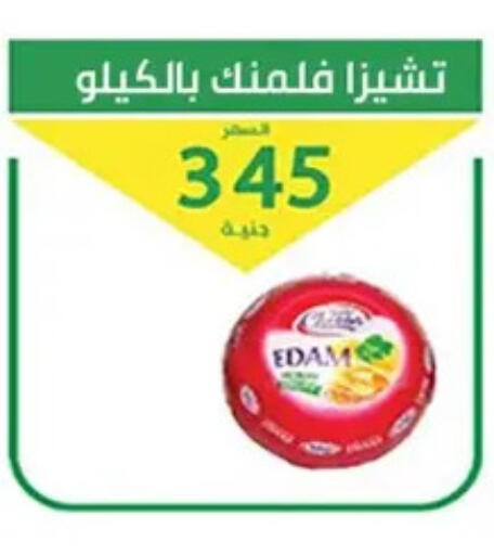 available at سوق العمدة in Egypt - القاهرة