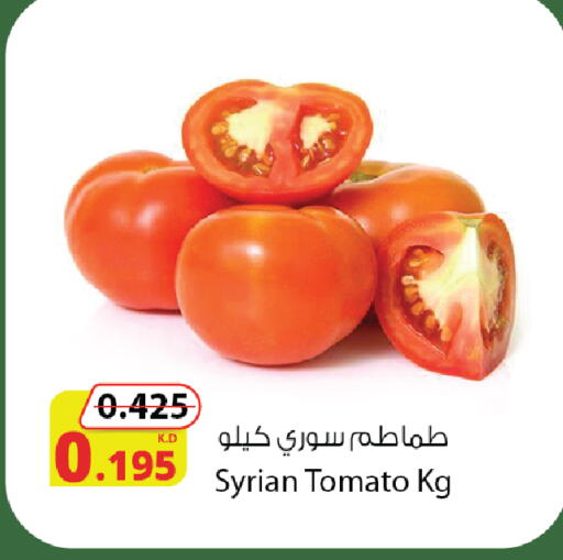 Tomato from Syria available at Agricultural Food Products Co. in Kuwait - Ahmadi Governorate