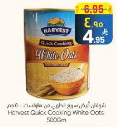 Oats available at City Flower in KSA, Saudi Arabia, Saudi - Jubail