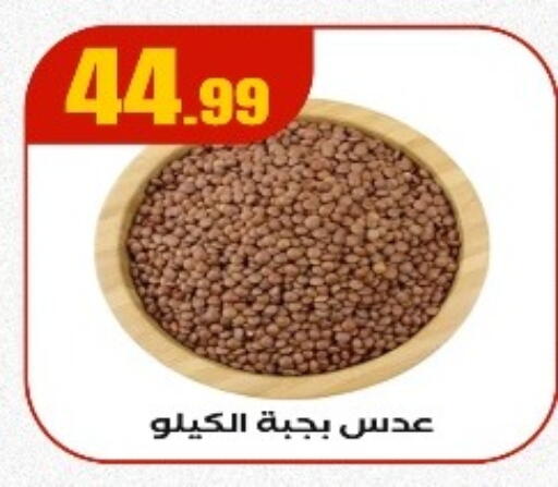 available at مارت فيل in Egypt - القاهرة