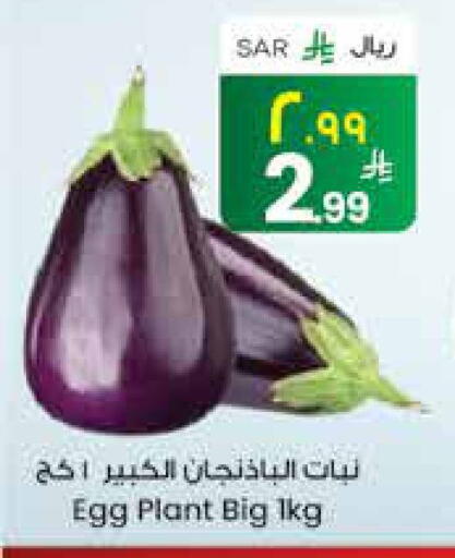 available at City Flower in KSA, Saudi Arabia, Saudi - Jubail