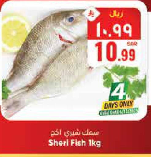 available at ستي فلاور in مملكة العربية السعودية, السعودية, سعودية - الجبيل‎