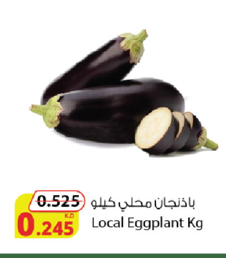Eggplant available at Agricultural Food Products Co. in Kuwait - Kuwait City
