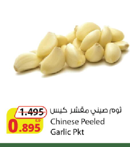 ثوم from China available at شركة المنتجات الزراعية الغذائية in الكويت - محافظة الأحمدي