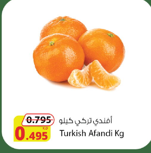 Orange from Turkey available at Agricultural Food Products Co. in Kuwait - Ahmadi Governorate