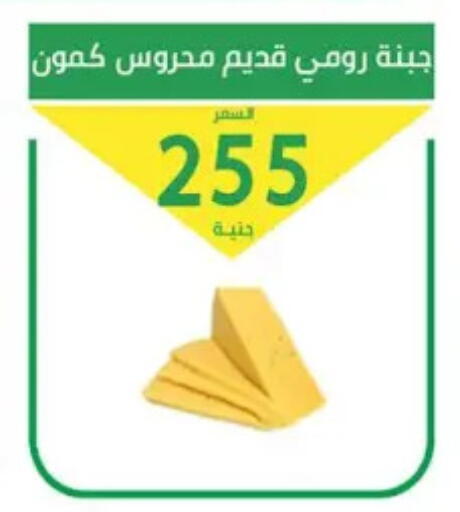 available at سوق العمدة in Egypt - القاهرة