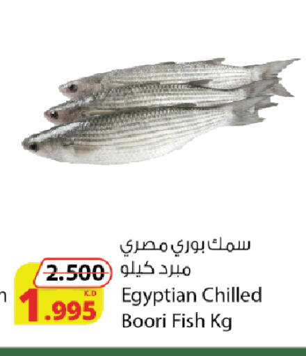 available at Agricultural Food Products Co. in Kuwait - Ahmadi Governorate