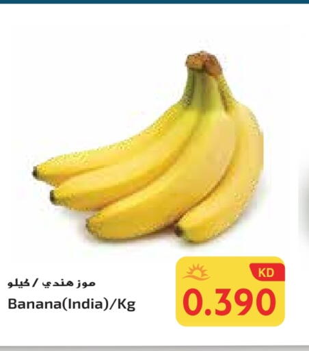 Banana from India available at Grand Costo in Kuwait - Ahmadi Governorate