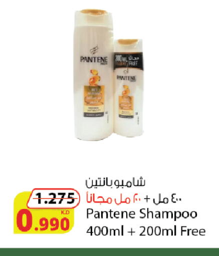 بنتين شامبو / بلسم available at شركة المنتجات الزراعية الغذائية in الكويت - محافظة الأحمدي