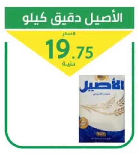 available at سوق العمدة in Egypt - القاهرة