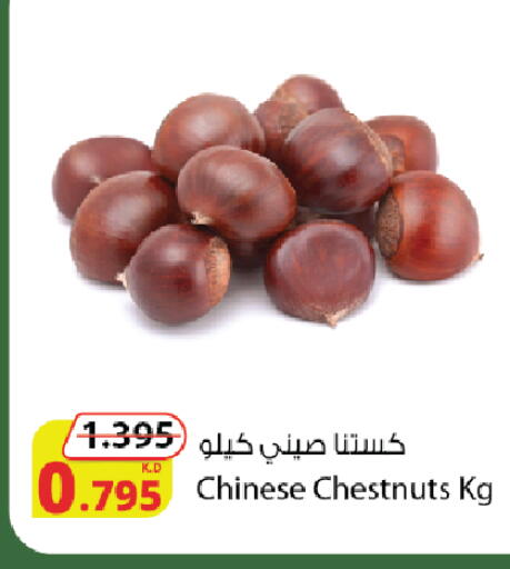 available at شركة المنتجات الزراعية الغذائية in الكويت - محافظة الأحمدي