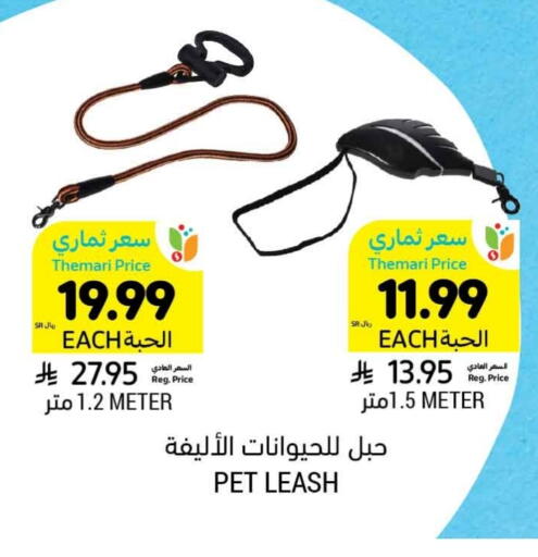 available at أسواق التميمي in مملكة العربية السعودية, السعودية, سعودية - الرس