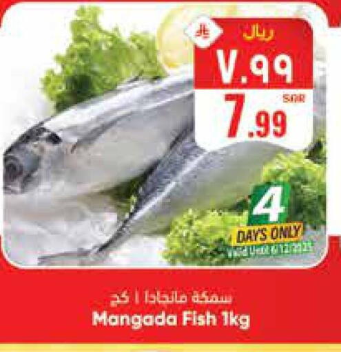 available at ستي فلاور in مملكة العربية السعودية, السعودية, سعودية - الجبيل‎