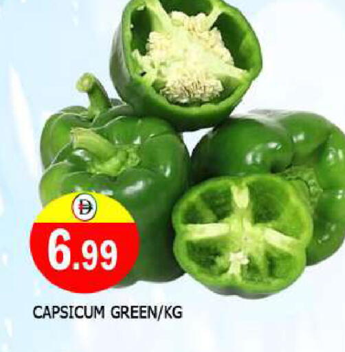 Chilli / Capsicum available at AL MADINA in UAE - Sharjah / Ajman