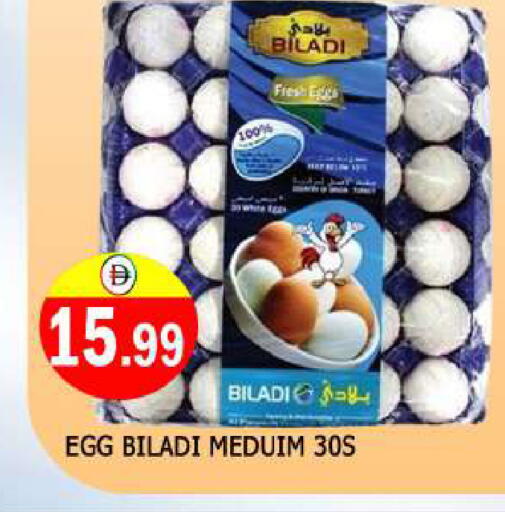 available at المدينة in الإمارات العربية المتحدة , الامارات - الشارقة / عجمان