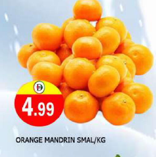 برتقال available at المدينة in الإمارات العربية المتحدة , الامارات - الشارقة / عجمان