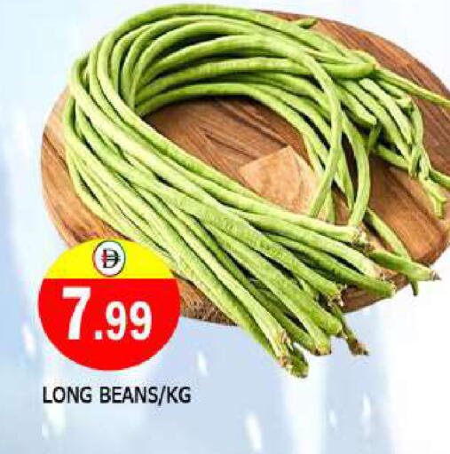 فاصوليا available at المدينة in الإمارات العربية المتحدة , الامارات - الشارقة / عجمان