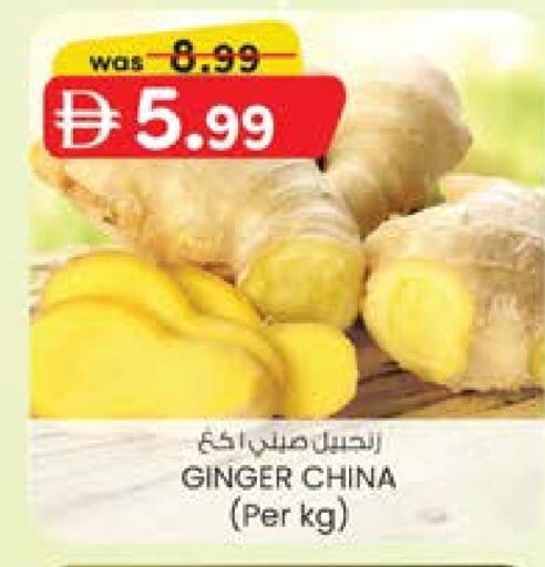 زنجبيل from China available at ك. الم. للتجارة in الإمارات العربية المتحدة , الامارات - ٱلْفُجَيْرَة‎