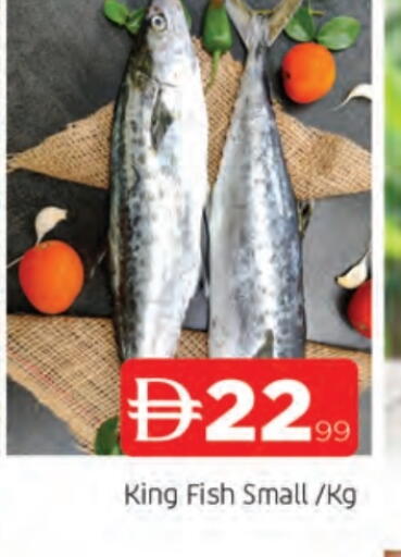 سمك ملكي available at المدينة in الإمارات العربية المتحدة , الامارات - الشارقة / عجمان