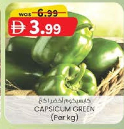 فلفل / فليفلة available at ك. الم. للتجارة in الإمارات العربية المتحدة , الامارات - ٱلْفُجَيْرَة‎