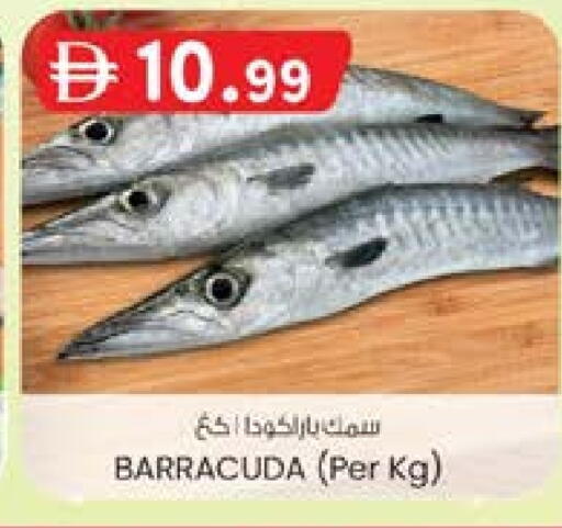 available at K M Trading  in UAE - Fujairah