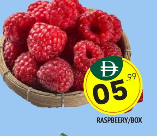 available at المدينة in الإمارات العربية المتحدة , الامارات - الشارقة / عجمان