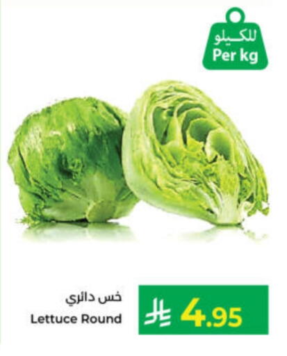 Lettuce available at Kabayan Hypermarket in KSA, Saudi Arabia, Saudi - Yanbu