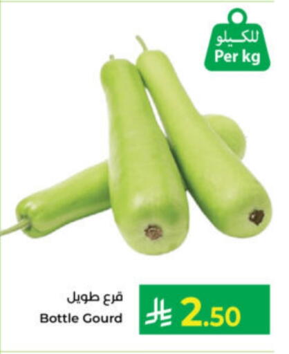Gourd available at Kabayan Hypermarket in KSA, Saudi Arabia, Saudi - Yanbu