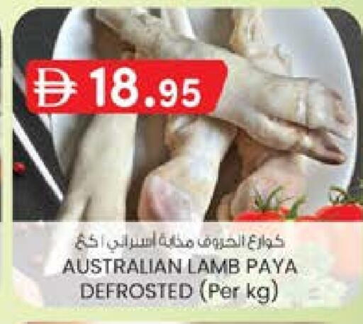 لحم الضأن / الغنم available at ك. الم. للتجارة in الإمارات العربية المتحدة , الامارات - ٱلْفُجَيْرَة‎