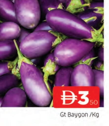 available at المدينة in الإمارات العربية المتحدة , الامارات - الشارقة / عجمان